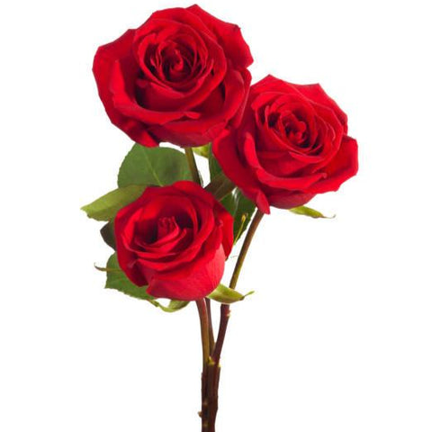 3 Rose Hand Bunch