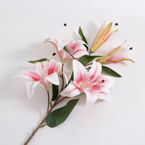 Pink Lily